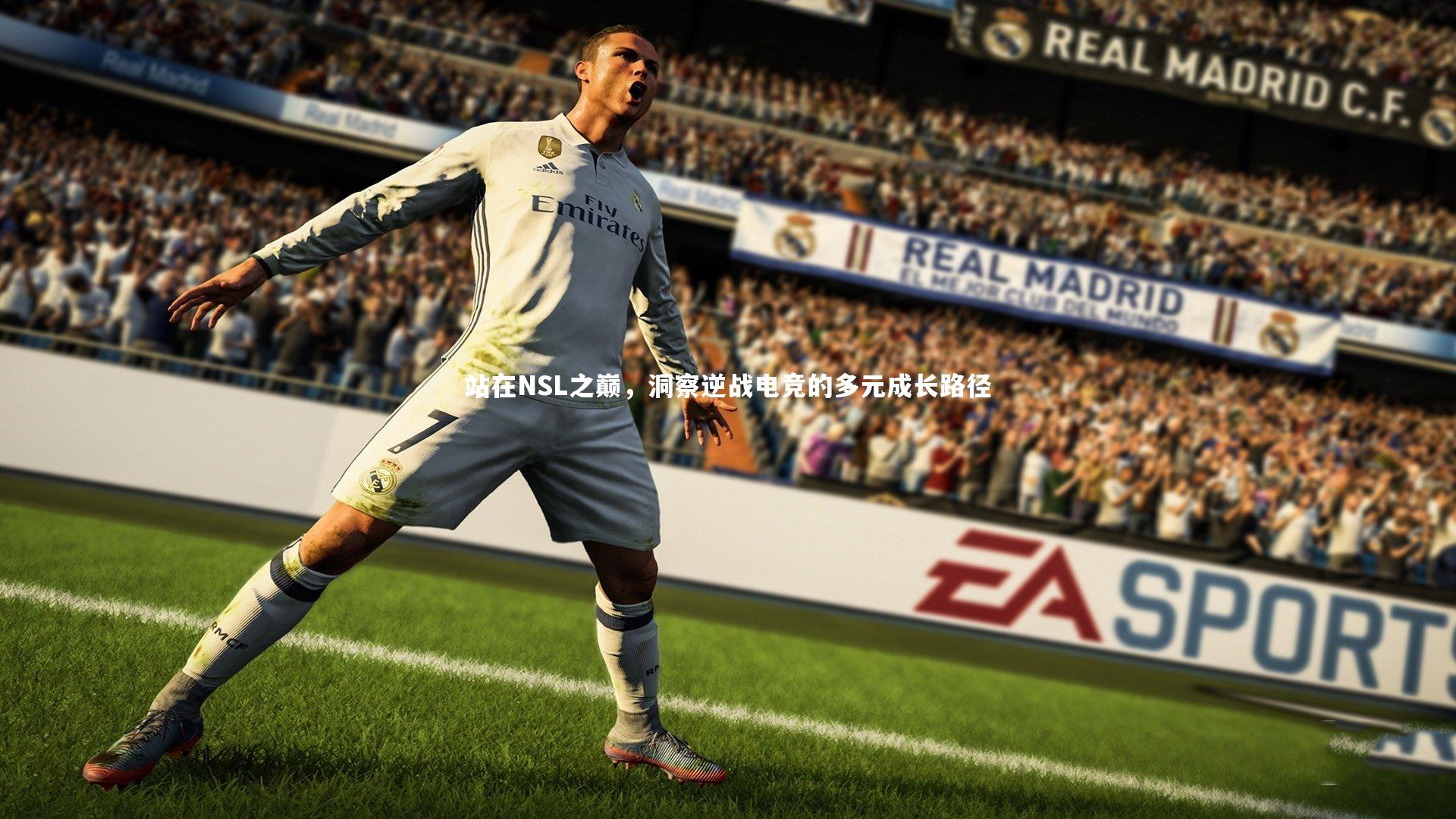 【南宫28】站在NSL之巅，洞察逆战电竞的多元成长路径